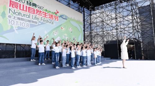 第二届经典947辰山自然生活节欢乐落幕 一站式亲子艺术体验与古典文化普及的双重奏响