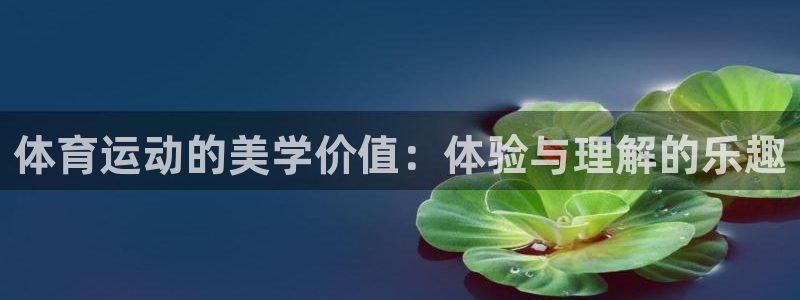 so米体育：体育运动的美学价值：体验与理解的乐趣