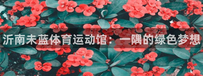 so米下载：沂南未蓝体育运动馆：一隅的绿色梦想