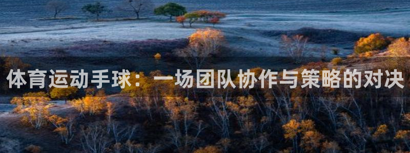 so米体肓：体育运动手球：一场团队协作与策略的对决