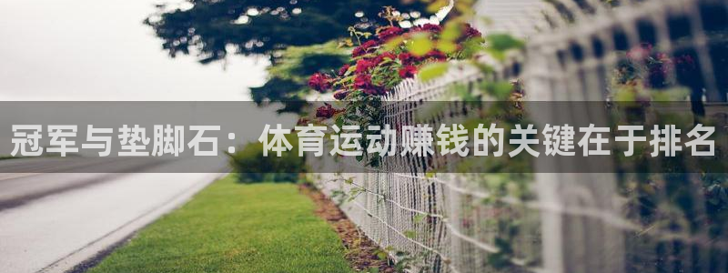 so米体育直播篮球：冠军与垫脚石：体育运动赚钱的关键在于排名