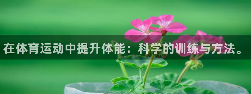 so米体育直播篮球：在体育运动中提升体能：科学的训练与方法。