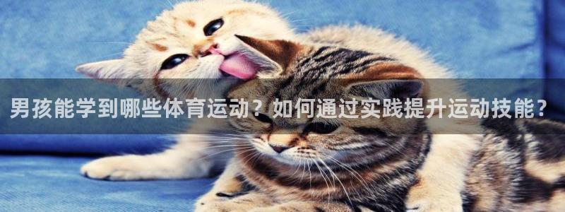 so米篮球：男孩能学到哪些体育运动？如何通过实践提升运动技能？